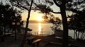 DSC00795 01